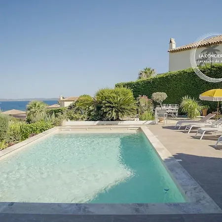 Cycas - Piscine - Vue - A 300m Carqueiranne
