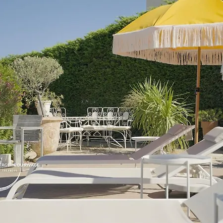 Cycas - Piscine - Vue - A 300m Villa Carqueiranne