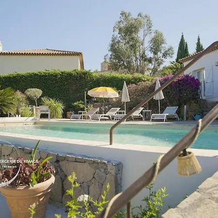 Cycas - Piscine - Vue - A 300m Villa *